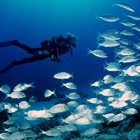 ヴィラ Mediterranea カラファット
